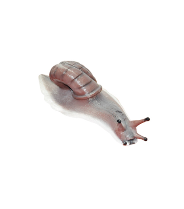 �ͽ𴬳�(�й���)�ٷ���վ